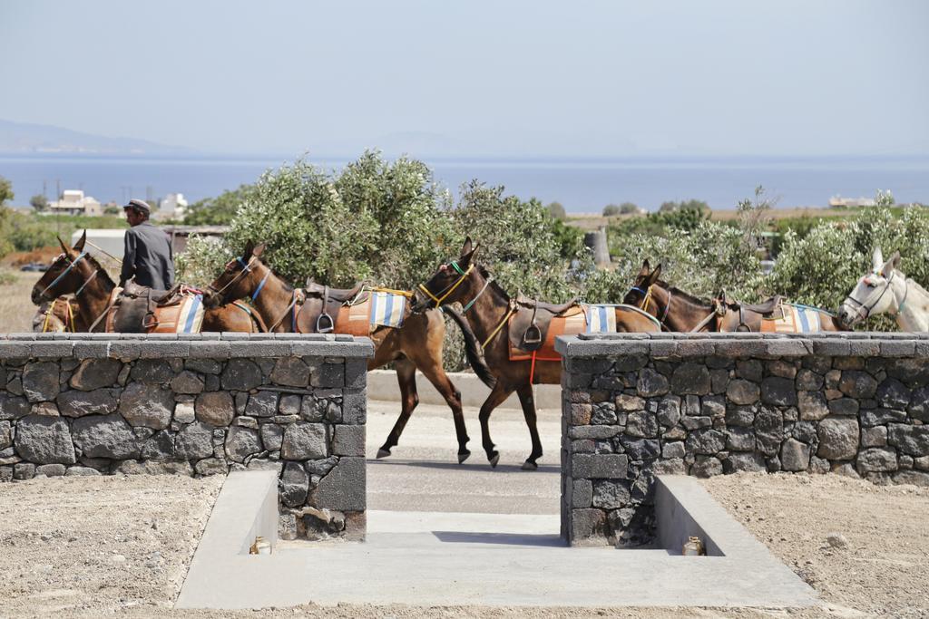 Vino Houses Santorini Foinikiá Екстериор снимка